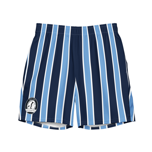 Striped Accendino Swim Trunks